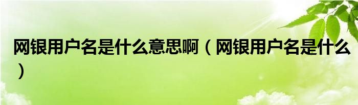 网银用户名是什么意思啊（网银用户名是什么）