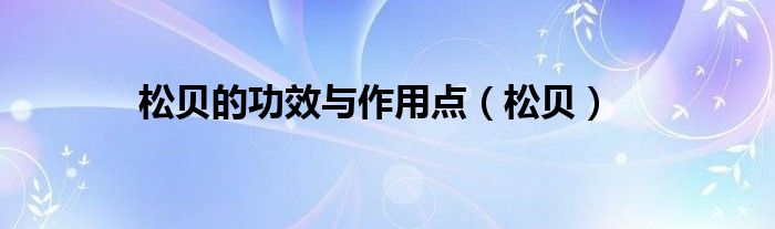 松贝的功效与作用点（松贝）