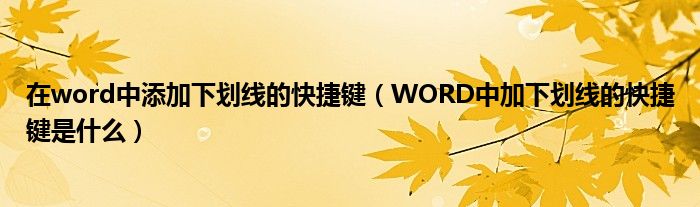 在word中添加下划线的快捷键（WORD中加下划线的快捷键是什么）