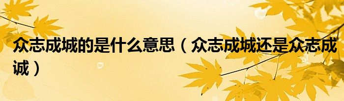 众志成城的是什么意思（众志成城还是众志成诚）