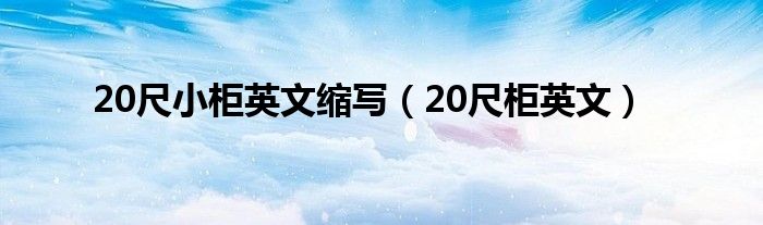 20尺小柜英文缩写（20尺柜英文）