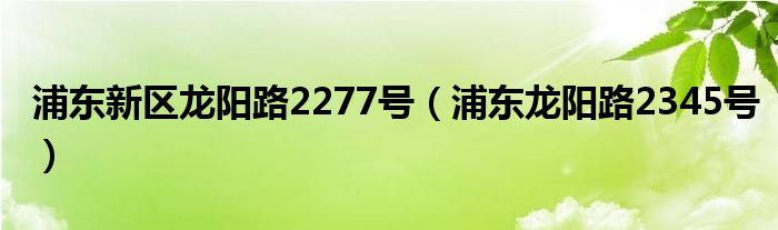浦东新区龙阳路2277号（浦东龙阳路2345号）