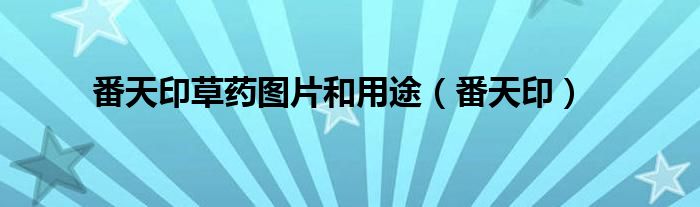 番天印草药图片和用途（番天印）