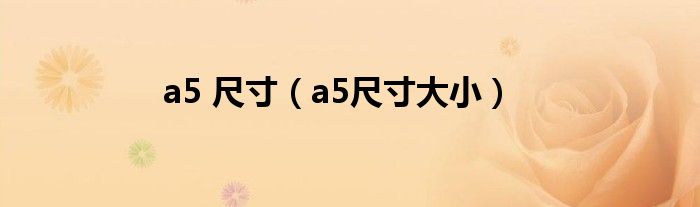 a5 尺寸（a5尺寸大小）