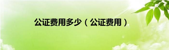 公证费用多少（公证费用）