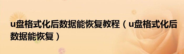 u盘格式化后数据能恢复教程（u盘格式化后数据能恢复）