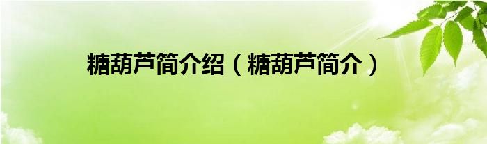 糖葫芦简介绍（糖葫芦简介）