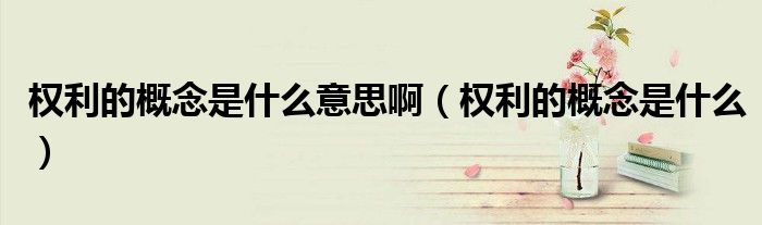 权利的概念是什么意思啊（权利的概念是什么）