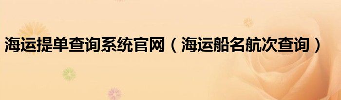 海运提单查询系统官网（海运船名航次查询）