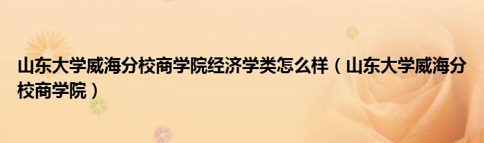 山东大学威海分校商学院经济学类怎么样（山东大学威海分校商学院）