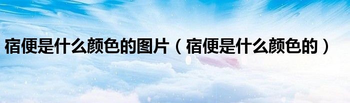 宿便是什么颜色的图片（宿便是什么颜色的）