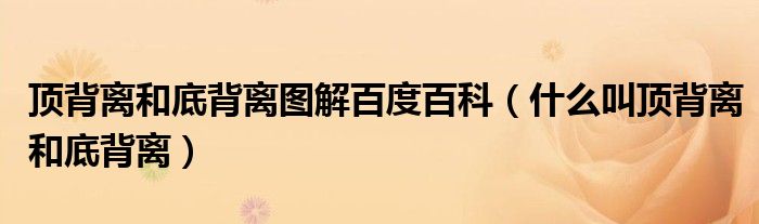 顶背离和底背离图解百度百科（什么叫顶背离和底背离）