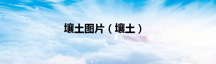 壤土图片（壤土）