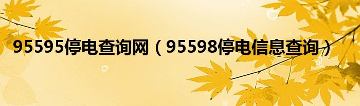 95595停电查询网（95598停电信息查询）