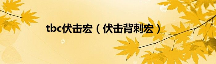 tbc伏击宏（伏击背刺宏）