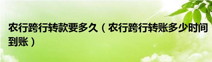 农行跨行转款要多久（农行跨行转账多少时间到账）