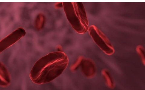 研究人员发现古老的病 DNA 可在怀孕期间和大量出血后激活血细胞生成