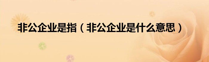 非公企业是指（非公企业是什么意思）