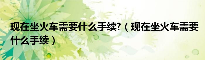 现在坐火车需要什么手续?（现在坐火车需要什么手续）