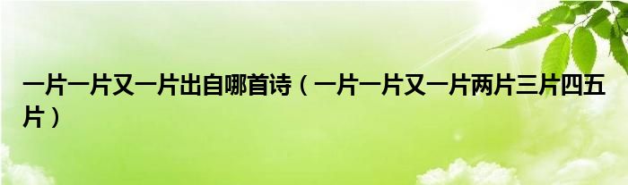 一片一片又一片出自哪首诗（一片一片又一片两片三片四五片）