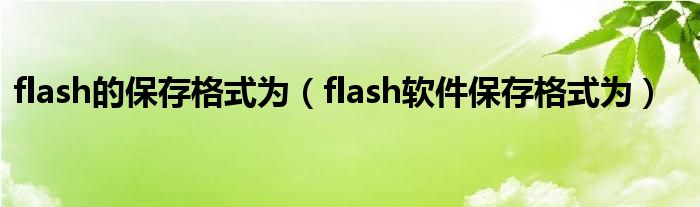 flash的保存格式为（flash软件保存格式为）