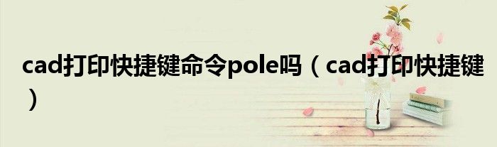 cad打印快捷键命令pole吗（cad打印快捷键）
