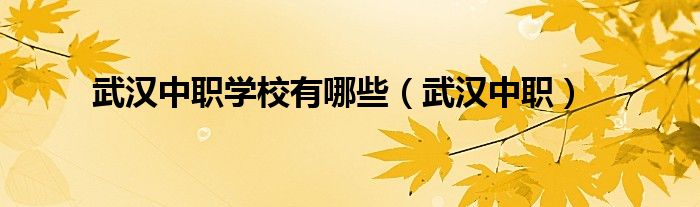 武汉中职学校有哪些（武汉中职）