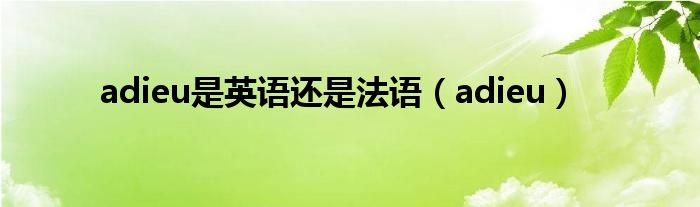 adieu是英语还是法语（adieu）
