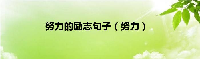 努力的励志句子（努力）