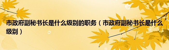 市政府副秘书长是什么级别的职务（市政府副秘书长是什么级别）
