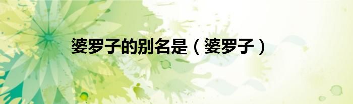 婆罗子的别名是（婆罗子）