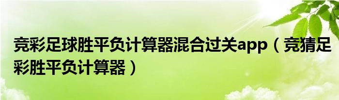 竞彩足球胜平负计算器混合过关app（竞猜足彩胜平负计算器）