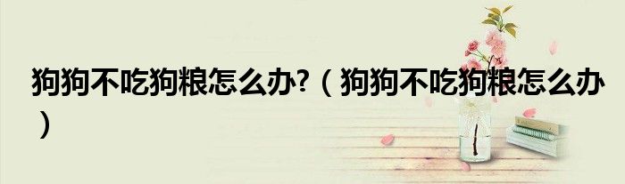 狗狗不吃狗粮怎么办?（狗狗不吃狗粮怎么办）
