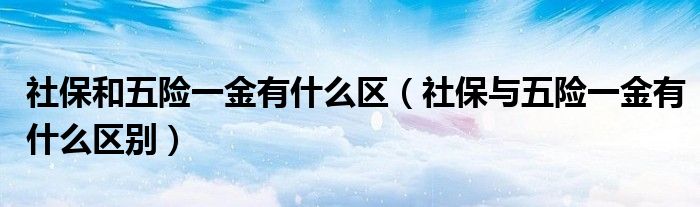 社保和五险一金有什么区（社保与五险一金有什么区别）