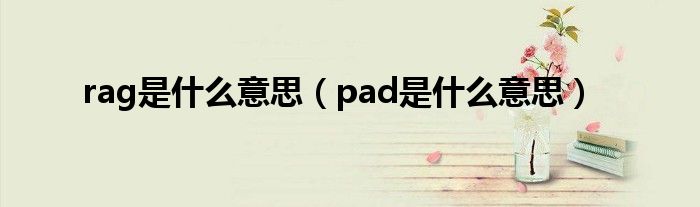 rag是什么意思（pad是什么意思）