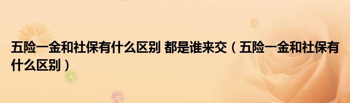 五险一金和社保有什么区别 都是谁来交（五险一金和社保有什么区别）