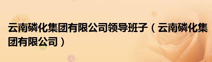 云南磷化集团有限公司领导班子（云南磷化集团有限公司）