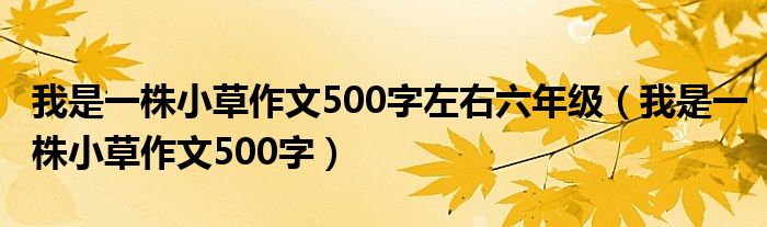 我是一株小草作文500字左右六年级（我是一株小草作文500字）