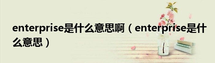 enterprise是什么意思啊（enterprise是什么意思）