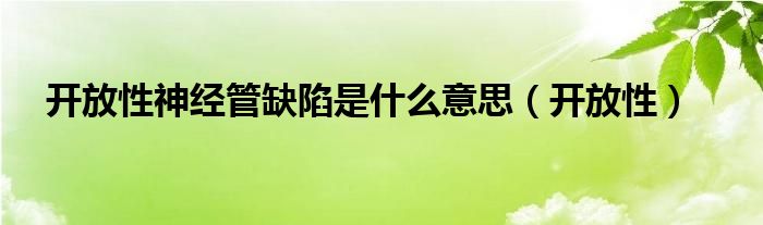 开放性神经管缺陷是什么意思（开放性）