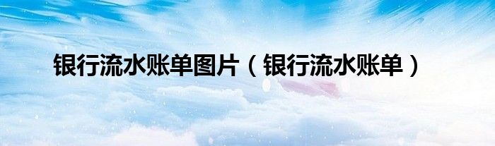 银行流水账单图片（银行流水账单）