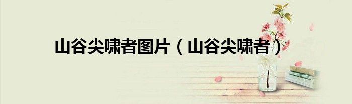 山谷尖啸者图片（山谷尖啸者）
