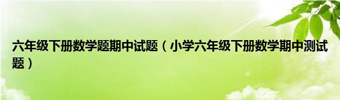 六年级下册数学题期中试题（小学六年级下册数学期中测试题）