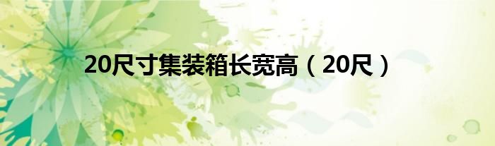 20尺寸集装箱长宽高（20尺）