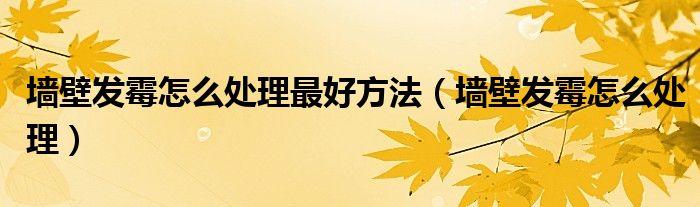 墙壁发霉怎么处理最好方法（墙壁发霉怎么处理）