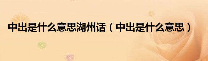 中出是什么意思湖州话（中出是什么意思）