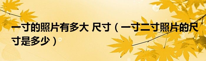 一寸的照片有多大 尺寸（一寸二寸照片的尺寸是多少）