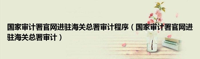 国家审计署官网进驻海关总署审计程序（国家审计署官网进驻海关总署审计）