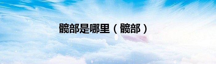 髋部是哪里（髋部）