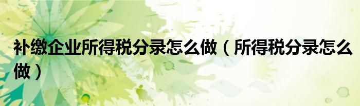 补缴企业所得税分录怎么做（所得税分录怎么做）